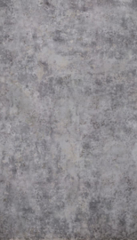 Dutch Wallcoverings One Roll One Motif Fotobehang MO6001 Industrial Concrete/Beton