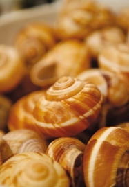 Fotobehang 2026 Escargots-Dutch Wallcoverings