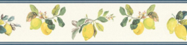 Rasch Petite Fleur 5 Behangrand 288574 Citrus planten/Citroen