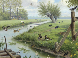 DWD Natural History/M.A Koekkoek Fotobehang NH250071 In de weide/Maatwerk