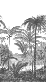 Dutch Wallcovering Orom 2 Fotobehang A58201 Palm Scenery/Palmboom