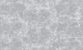 Noordwand Concrete Cire Wallpaper Fotobehang 330808 Powder Concrete