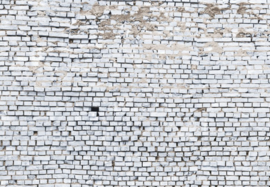 Komar Stories Fotobehang 8-881 White Bricks/Baksteen