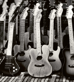 Dimex Fotobehang Guitars Collection MS-3-0303 Gitaren/Muziek