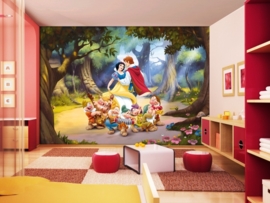 Dutch Wallcoverings Fotobehang. FTD 0252/Sneewwitje