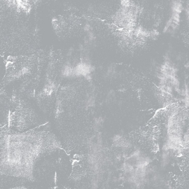 Noordwand Concrete Cire Wallpaper Fotobehang 330747 Cloud Concrete/Modern