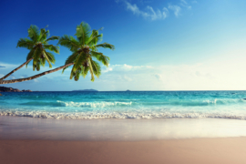 AS Creation Wallpaper 3 XXL Fotobehang 471693XL Tropical Sea 2/Strand