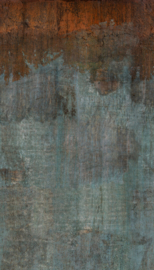 Dutch Wallcoverings One Roll One Motif Fotobehang A43101 NY Empire State Plain/Industrial