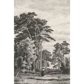 Esta Home Blush Fotobehang 158886 Pine trees engraving/Natuur