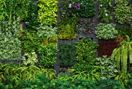 Erismann Zooom One Fotobehang 2227-10 Hanging Garden/Plantenwand