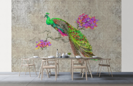 ASCreation Walls by Patel Fotobehang Peacock 1 DD114307 Vogels/Dieren