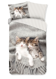 Muller Textiles Dekbedovertrek 31024 Snooze/Slapende Poezen/1 persoons