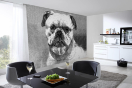 AS Creation AP Digital4 Fotobehang DD108931 Bulldog/Hond