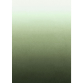 Esta Home Fotobehang 159446 Kleurverloop/Dip Dye/Groen