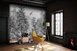 Behangexpresse  Light & Dark Fotobehang INK7321 Into the woods