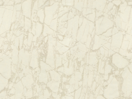 Dutch First Class Carrara 3 Behang Leonardo Marble 84604 Marmer/Gratis Lijm