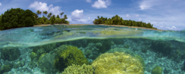 Dimex Fotobehang Coral Reef MP-2-0200 Panorama/Koraal