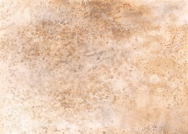 Emil & Hugo Moana Fotobehang  301105 Coral Stone Grande Beige