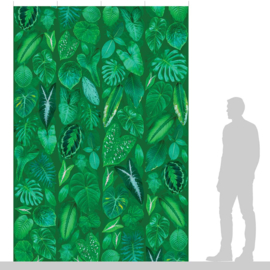 DWD Natural History Fotobehang NH250052 Tropische Bladeren op groene ondergrond/Maatwerk