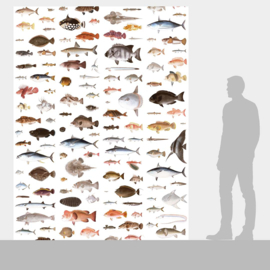 DWD Natural History Fotobehang NH250031 Vissen van Kawahara Keiga/Maatwerk