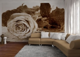 Dutch wallcoverings Fotobehang. FTS 0086 Bloemen/Roos