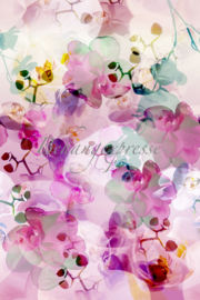 Behangexpresse ColorChoc Fotobehang INK6073 Bloemen/Orchidee