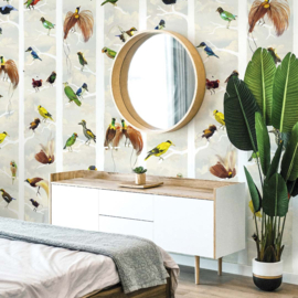 DWD Natural History Fotobehang NH250050 Paradijsvogels in Chinoiserie stijl/Maatwerk