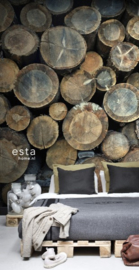 Esta Home Greenhouse Fotobehang 158206 Hout/Boomstammen
