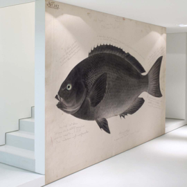 DWD Natural History/Keiga Kawahara Fotobehang NH250026 Zwarte Vis/Maatwerk