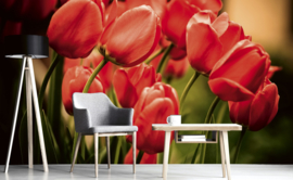 Dimex Fotobehang Red Tulips MS-5-0128 Rode Tulpen