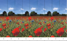 Noordwand Easy Smart Art Fotobehang 47273 Klaprozen/Veldbloemen
