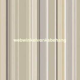 Eijffinger Stripes+  Behang 377110 Strepen/Bruin/Taupe