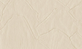 SBS6 De Grote Huisverbouwing 1 December Behang Arte Shards Clay 42502