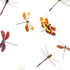 DWD Natural History Fotobehang NH250048 Libellen/Odonata/Maatwerk