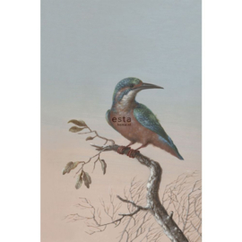 Esta Home Blush Fotobehang 158888 Kingfisher/Vogel/IJsvogel