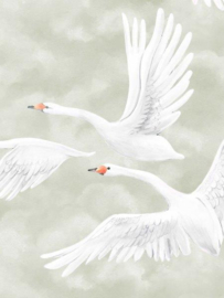 Borastapeter Studio Fotobehang 9414W Clouds Swans/Zwanen en Wolken