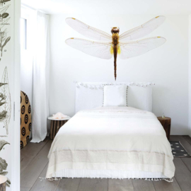 DWD Natural History Fotobehang NH250013 Grote Libelle/Odonata/Maatwerk