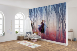 Komar Disney Edition4 Fotobehang 8-4102 Frozen Friends