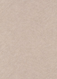Dutch Wall Decor Gentle Behang 10434-02 Veeg Structuur