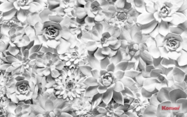 Komar Pure Fotobehang P962-VD4 Shades Black and White/Bloemen/Modern