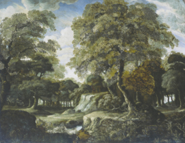 Erismann Zooom One Fotobehang 2506V-11 Forest/Landschap met bomen