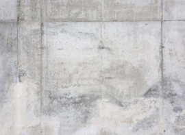 AS Creation Designwalls 2 Fotobehang DD123630 Grey Wall 1/Beton