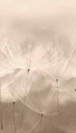 Dutch Wallcovering Orom 2 Fotobehang 203801 Dandelion/Paardebloem