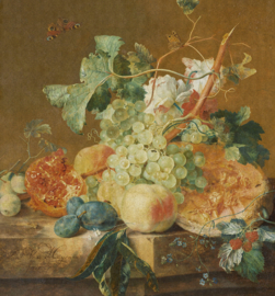 Painted Memories Still Life With Fruits Fotobehang 8008 Jan van Huysum