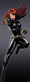 Behang. 1-430 Black Widow-Komar