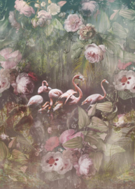 Behangexpresse Floral-Utopia Fotobehang INK7553 Flamingo Found Dark
