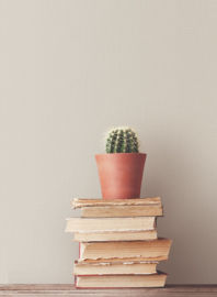 Noordwand Bazaar Behang G78306 Uni/Jute Structuur