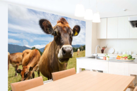 Dimex/Wall Murals 2023 Fotobehang MS-5-0460 Chewing Cow/Koe/Dieren