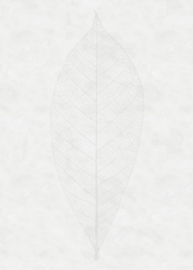 Noordwand Komar Raw Fotobehang R2-012 Decent Leaf/Bladeren