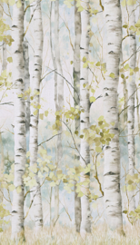 Dutch Wallcovering Orom 2 Fotobehang A77301 Betula/Berkenbomen